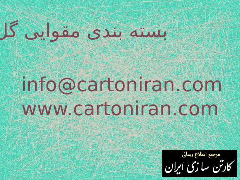 بسته بندی مقوایی گل